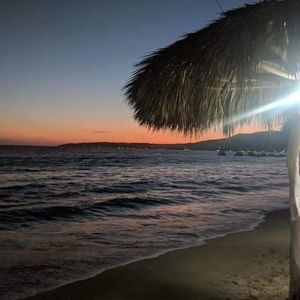 Meet your Posher, Darlene